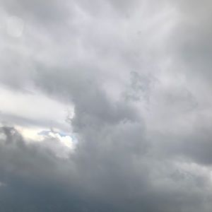 Meet your Posher, Viviana